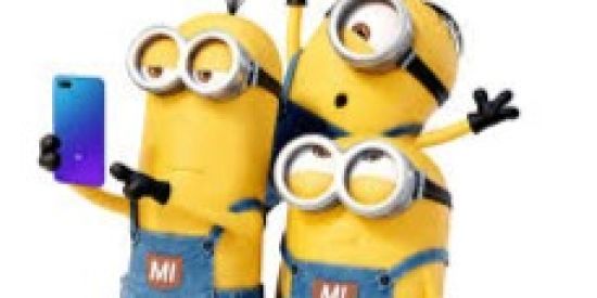 Imagem do grupo de WhatsApp xiaominions