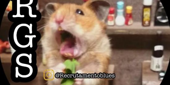 Imagem do grupo de WhatsApp ɾεcɾμƭαɱεɳƭσ ɾɠ'ร💙