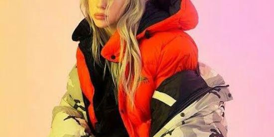 Imagem do grupo de WhatsApp Fãs da 💚billie eilish💚