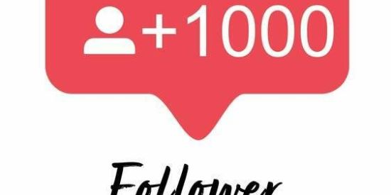 Imagem do grupo de WhatsApp Ganhe seguidores no instagram💖