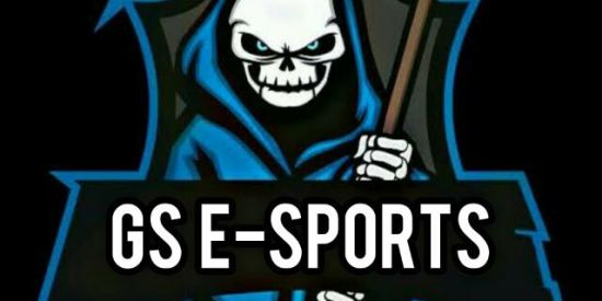 Imagem do grupo de WhatsApp ᮝᏱ・E-Sports🔥🔱