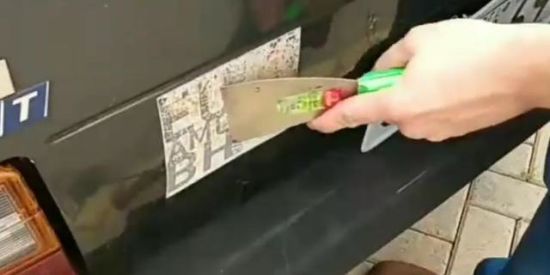 Imagem do grupo de WhatsApp corsinha.amarelo