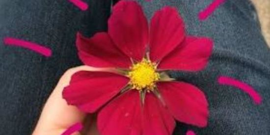 Imagem do grupo de WhatsApp 🌺Bazar Cosméticos🌺