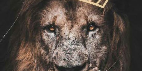 Imagem do grupo de WhatsApp 👑✨Rᴇᴄʀᴜᴛᴀᴍᴇɴᴛᴏ ♔•ƒҡ'ร•♔✨👑