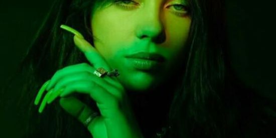 Imagem do grupo de WhatsApp 💚🇧🇷🥑Bɪʟʟɪᴇ Eɪʟɪsʜ🥑🇧🇷💚