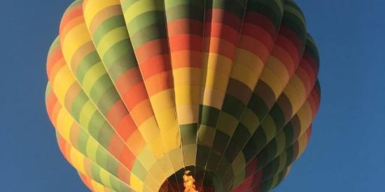 Imagem do grupo de WhatsApp Você Investidor 📈