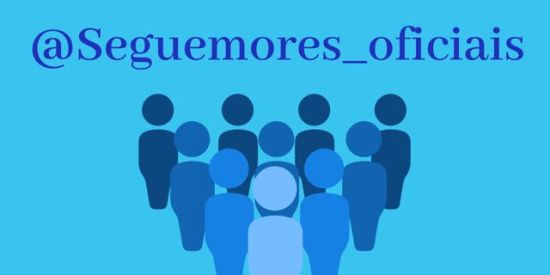 Imagem do grupo de WhatsApp Seguemores_oficiais