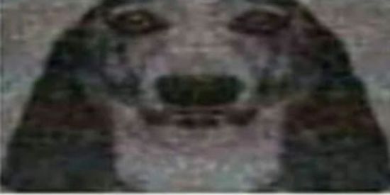 Imagem do grupo de WhatsApp SHITPOSTKKKKKKKKKKKKK