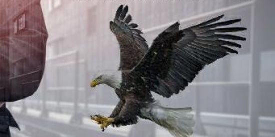 Imagem do grupo de WhatsApp Recepção BUSSINES TOOLBOX