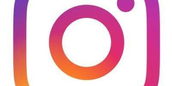 Imagem do grupo de WhatsApp Divulgação do Insta