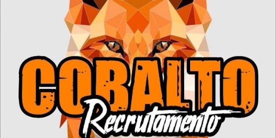 Imagem do grupo de WhatsApp 🦊яє¢яυтαмєηтσ ¢σвαlтσ🦊