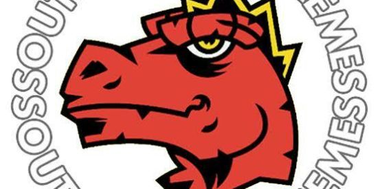 Imagem do grupo de WhatsApp Zueira total 💯🔥