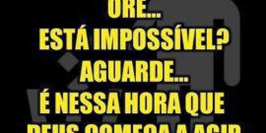 Imagem do grupo de WhatsApp Ricardo Vendas