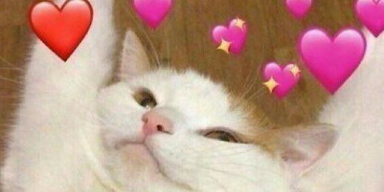 Imagem do grupo de WhatsApp Figurinhas💯Limites 🤪😁