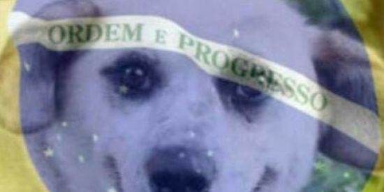 Imagem do grupo de WhatsApp ⇝ۜCentro de ʄigurinhasBR🇧🇷