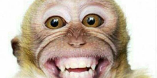 Imagem do grupo de WhatsApp Imagens😂Videos😂Engraçados