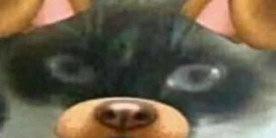 Imagem do grupo de WhatsApp Cumulo da lixozidade