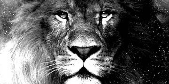 Imagem do grupo de WhatsApp Recrutamento bonde♕ǤŁ'ຮ♕