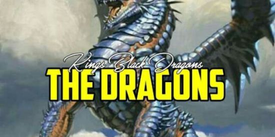 Imagem do grupo de WhatsApp 💚🐲RECRUTAMENTO 💚🐲