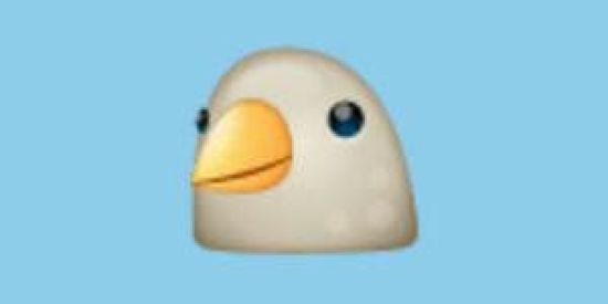 Imagem do grupo de WhatsApp 〖ʀᴇᴄᴇᴩᴄᴀᴏ〗Paradise Memes