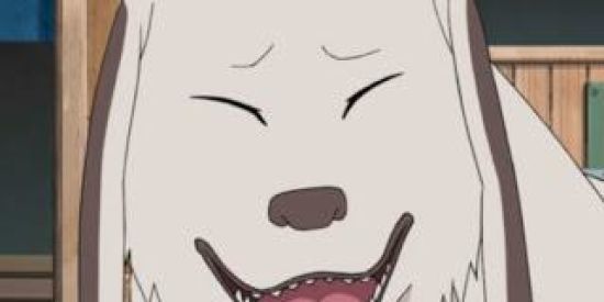 Imagem do grupo de WhatsApp ⛩️🏮FAMÍLIA_INUZAKA🏮⛩️