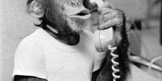 Imagem do grupo de WhatsApp Grupo Parado