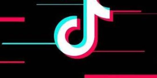 Imagem do grupo de WhatsApp Seguidores tiktok