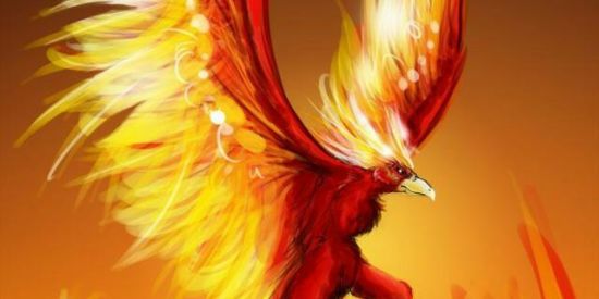 Imagem do grupo de WhatsApp 💣1//3 Projeto_ofcfenɪx🃏🔥