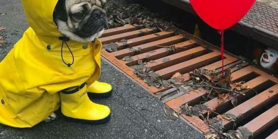 Imagem do grupo de WhatsApp ₣¡guя¡ŁÂหd¡ค🎭💬