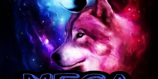 Imagem do grupo de WhatsApp 6° Mega wolfs ♕💓🕎