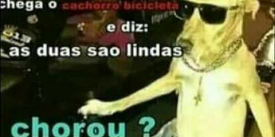 Imagem do grupo de WhatsApp HUMOR.NET😂