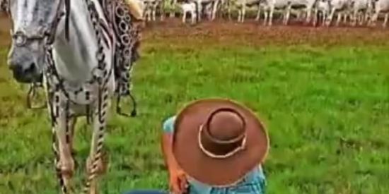 Imagem do grupo de WhatsApp TCHAU BRIGADU!!!