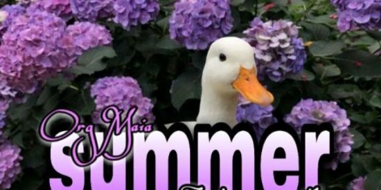 Imagem do grupo de WhatsApp Recrutamento summer🌸🍃💛