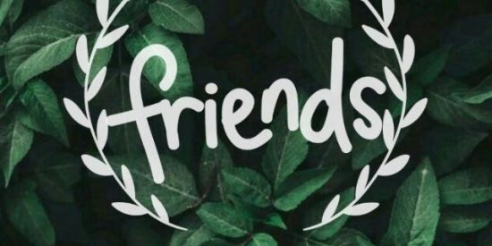 Imagem do grupo de WhatsApp 🍃ƒя¡εหdร🍃