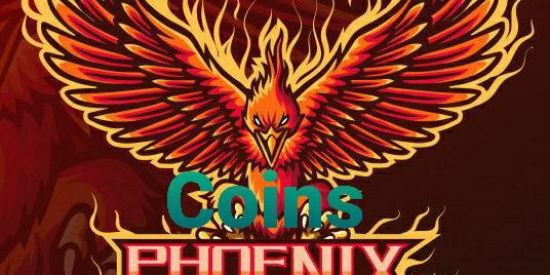 Imagem do grupo de WhatsApp 🔐PHOENIX🚰COIN