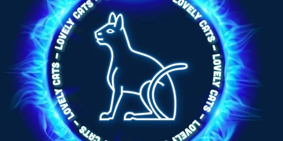 Imagem do grupo de WhatsApp Recrutamento instagram💕🤖🌟