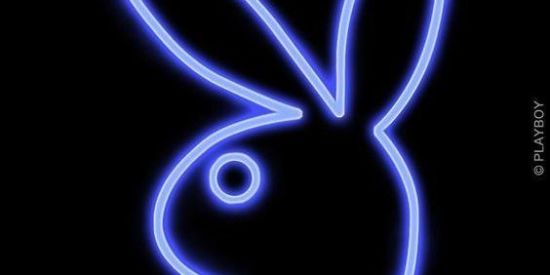 Imagem do grupo de WhatsApp Contatinhos