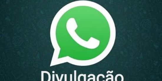 Imagem do grupo de WhatsApp Divulgação de contatos✅