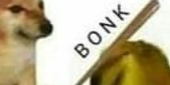 Imagem do grupo de WhatsApp 👺SHITPOSTING🥱