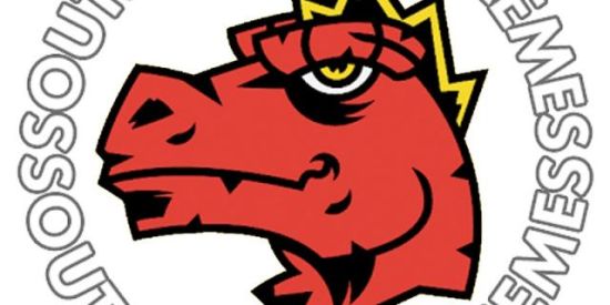 Imagem do grupo de WhatsApp South American Memes