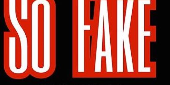 Imagem do grupo de WhatsApp GRUPO DE FAKES