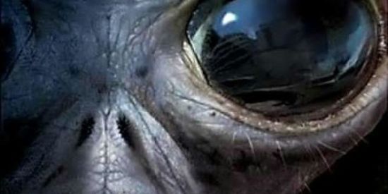 Imagem do grupo de WhatsApp Videos diverços