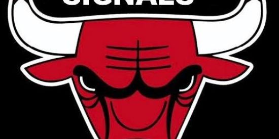 Imagem do grupo de WhatsApp 🔰BULLS SIGNALS#1🔰FREE