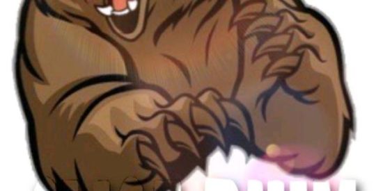 Imagem do grupo de WhatsApp X1 D CRIA. PESADELO GAMER