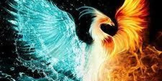 Imagem do grupo de WhatsApp 🦖RECRUTAMENTO  🅟🅗🅞🅔🅝🅔🅧🦖