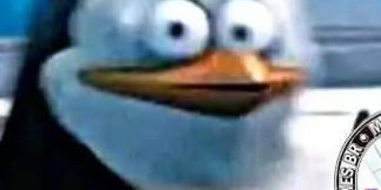 Imagem do grupo de WhatsApp No céu não tem pão 2.0