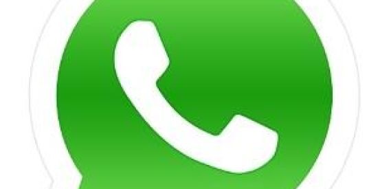 Imagem do grupo de WhatsApp Denuncia do WhatsApp