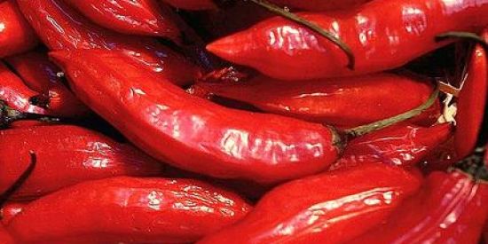 Imagem do grupo de WhatsApp 😈🌶️So fica quem aguenta 🌶️😈