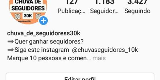 Imagem do grupo de WhatsApp Chuva de seguidores