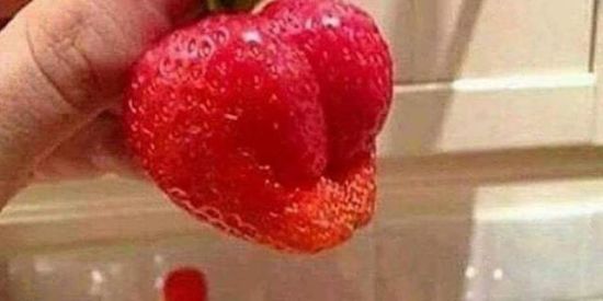 Imagem do grupo de WhatsApp Desafio dos 7dias glúteo☘️